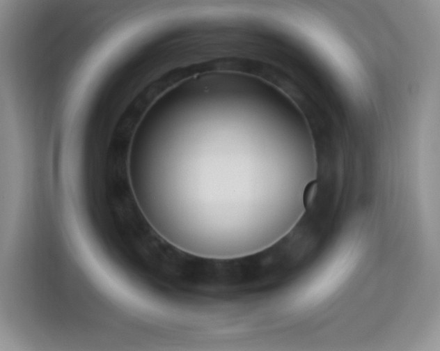 X0000114060383200910051221