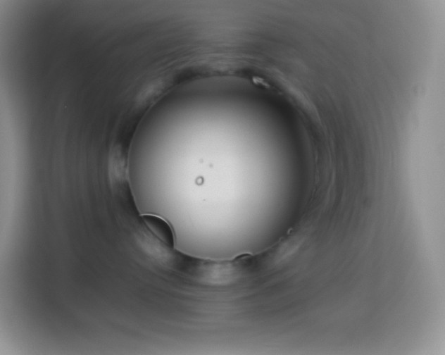 X0000114060384200910051221