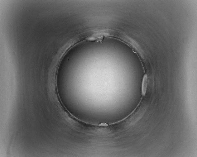 X0000114060385200910051221