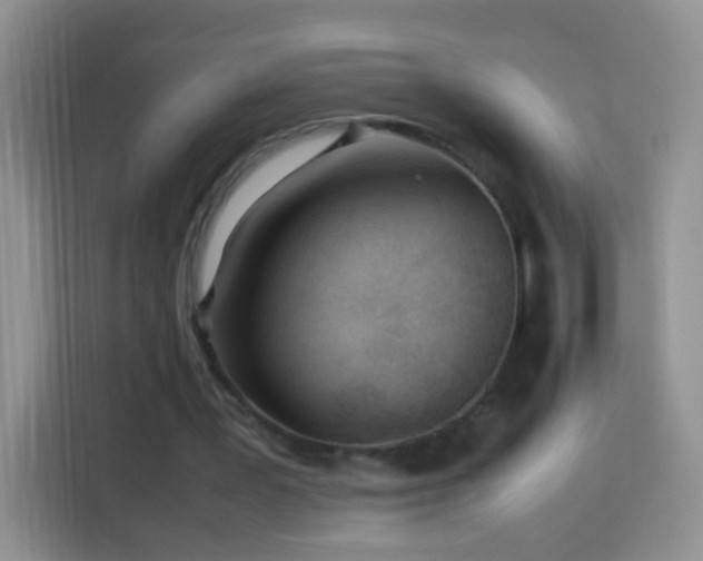 X0000114060387200910051221