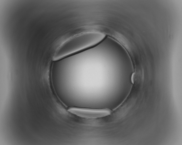 X0000114060389200910051221