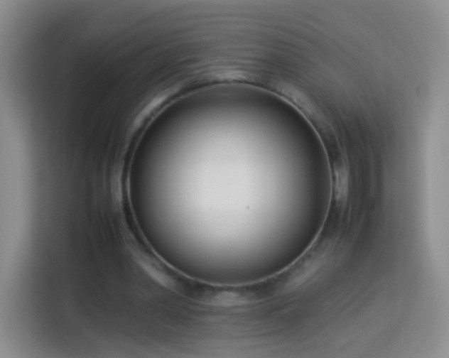 X0000114060390200910051221