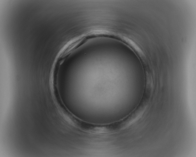 X0000114060391200910051221