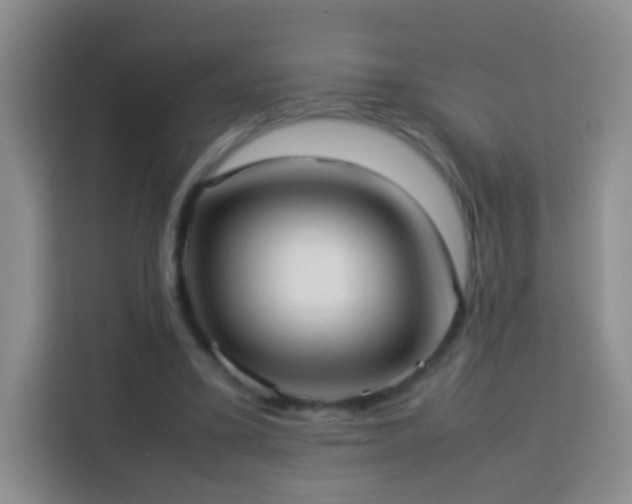 X0000114060395200910051221