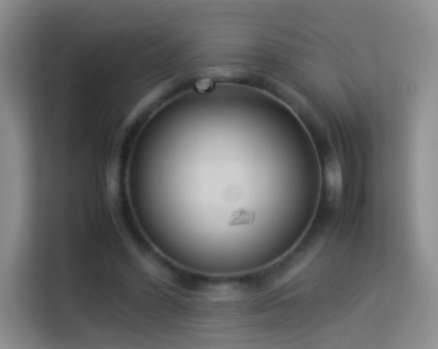 X0000114060396200910051221