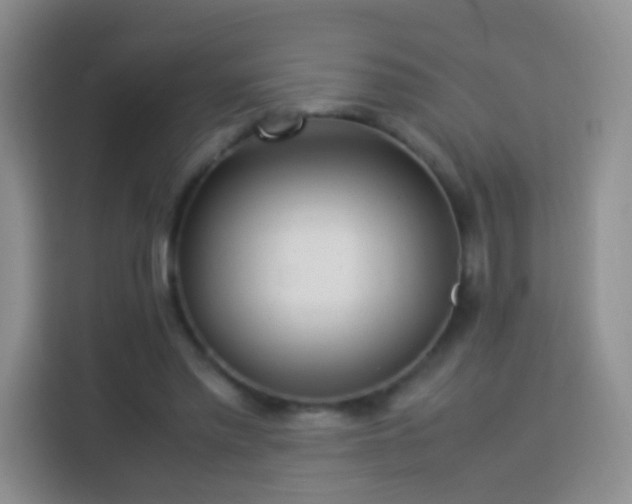 X0000114060397200910051221