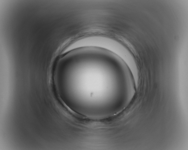 X0000114060399200910051221