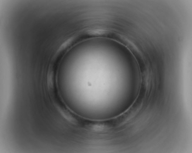 X0000114060400200910051221