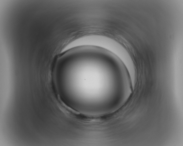 X0000114060401200910051220