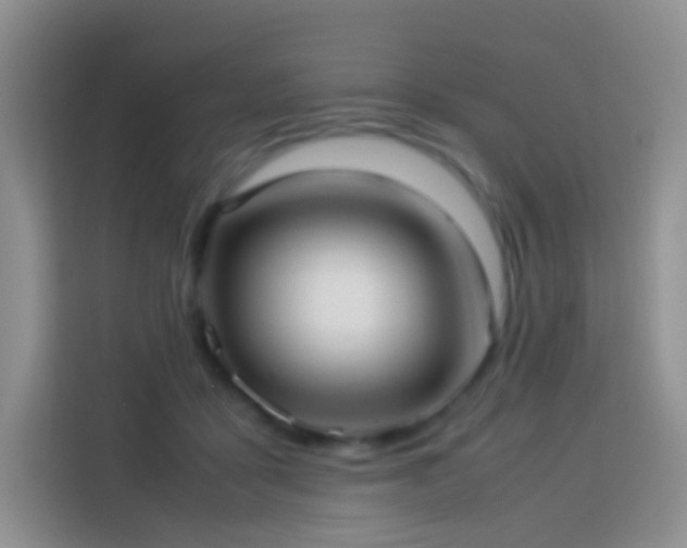 X0000114060411200910051220