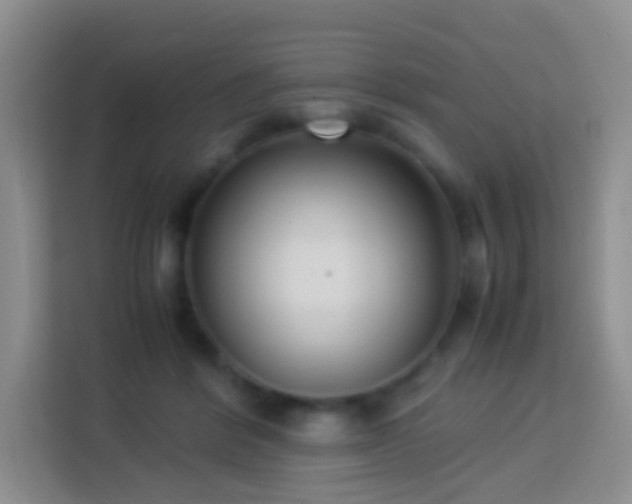 X0000114060412200910051220