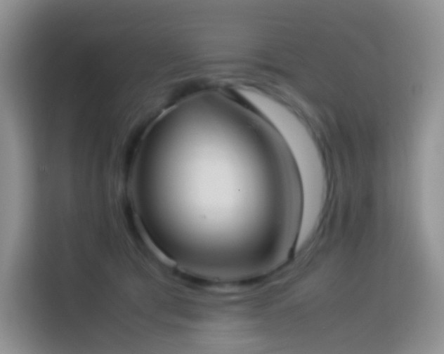 X0000114060417200910051220