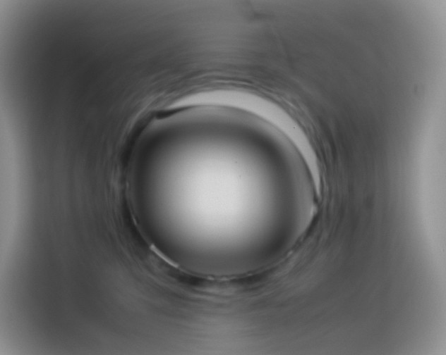 X0000114060423200910051220