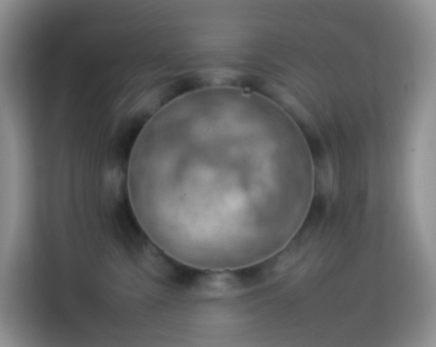 X0000114060427200910051220