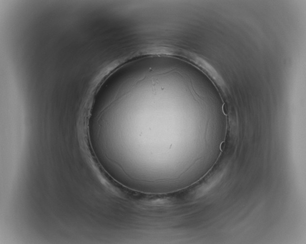 X0000114060433200910051219