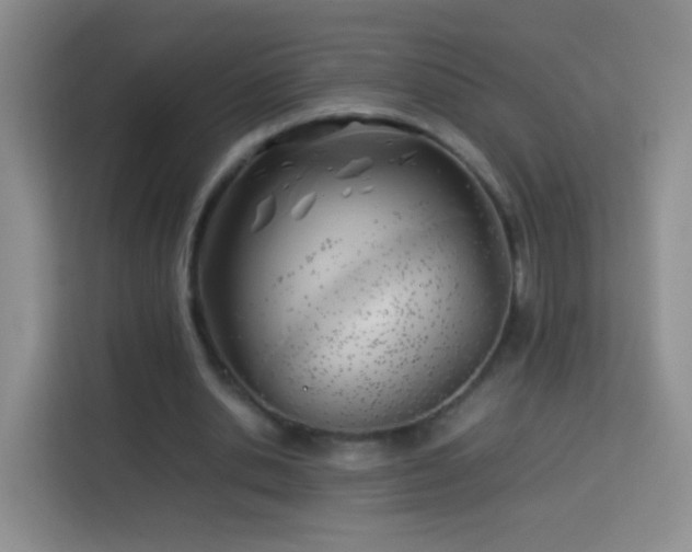 X0000114060438200910051220