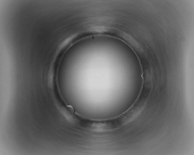 X0000114060440200910051220