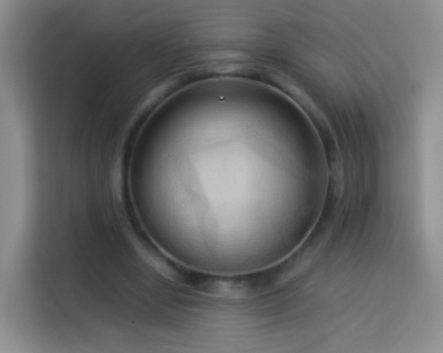 X0000114060442200910051220