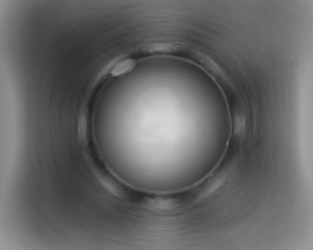 X0000114060444200910051220