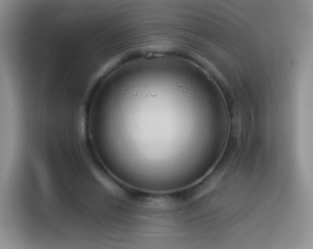 X0000114060446200910051220