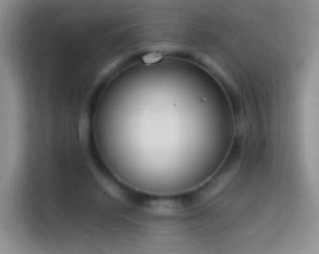 X0000114060448200910051220