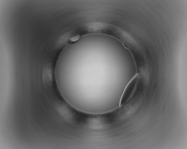 X0000114060452200910051220