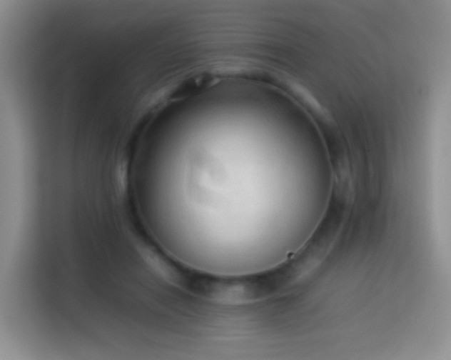 X0000114060454200910051220