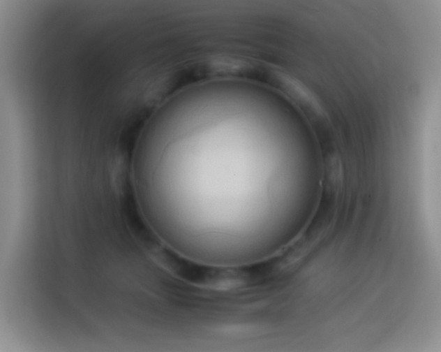 X0000114060463200910051220