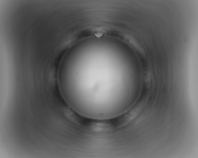 X0000114060466200910051220