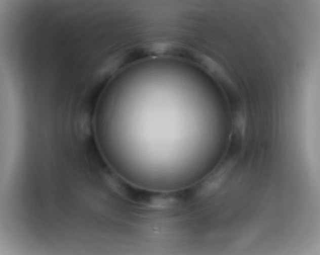 X0000114060470200910051220