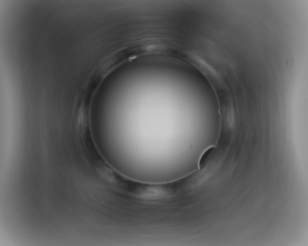 X0000114060475200910051220