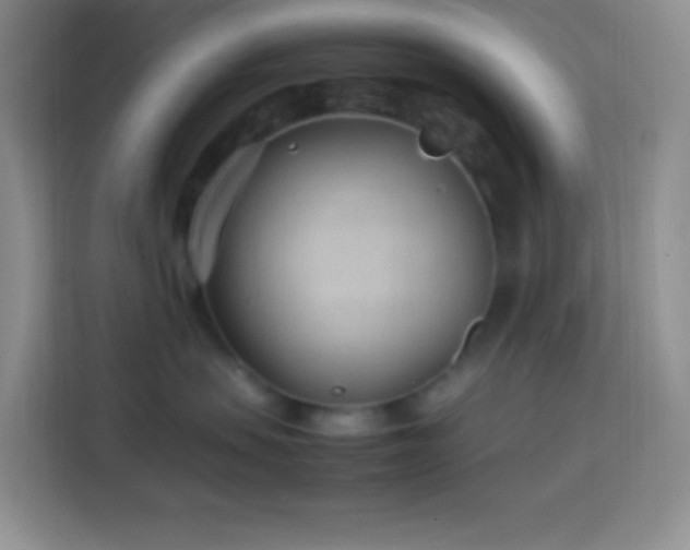 X0000114060479200910051220