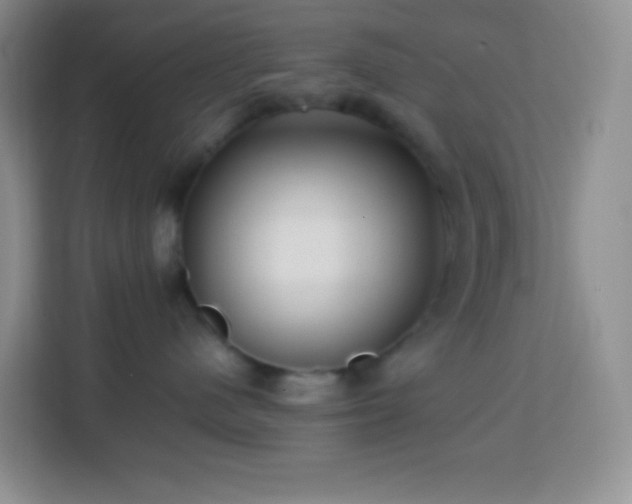 X0000114060480200910051220