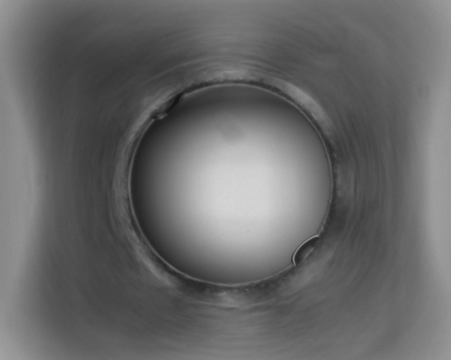 X0000114060481200910051219
