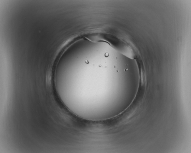 X0000114060483200910051219