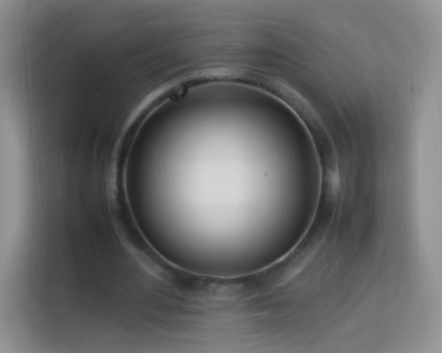 X0000114060484200910051219