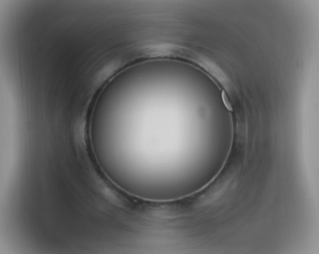 X0000114060485200910051219