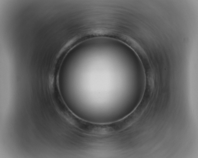 X0000114060488200910051219
