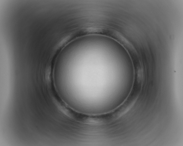 X0000114060490200910051219