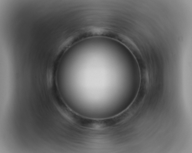 X0000114060496200910051219
