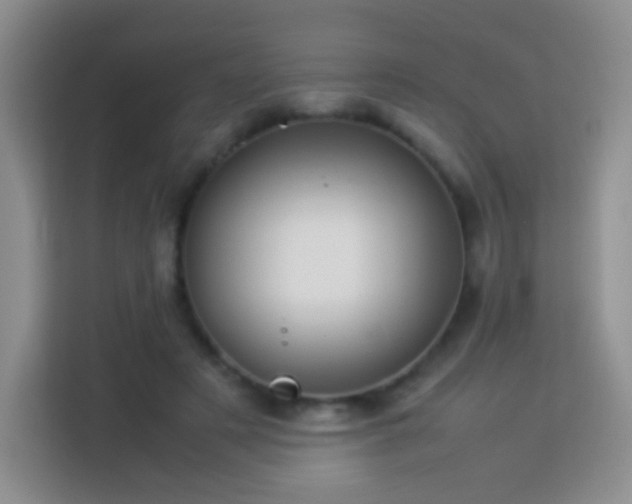X0000114060497200910051219