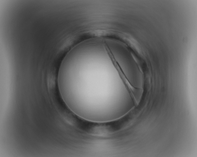 X0000114060499200910051219