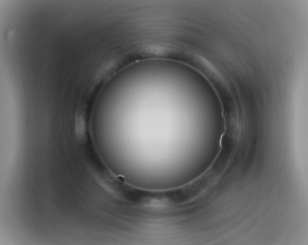 X0000114060500200910051219
