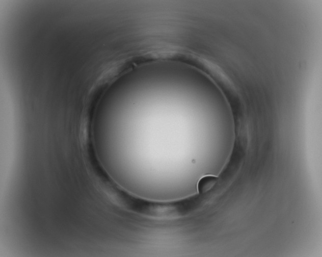 X0000114060501200910051219