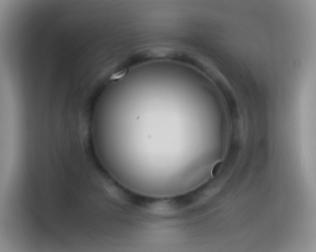 X0000114060505200910051219