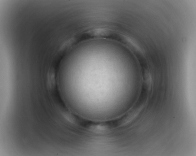 X0000114060506200910051219