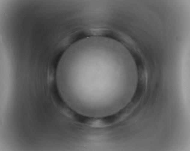 X0000114060507200910051219
