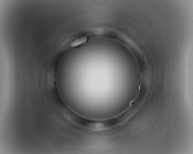 X0000114060509200910051219