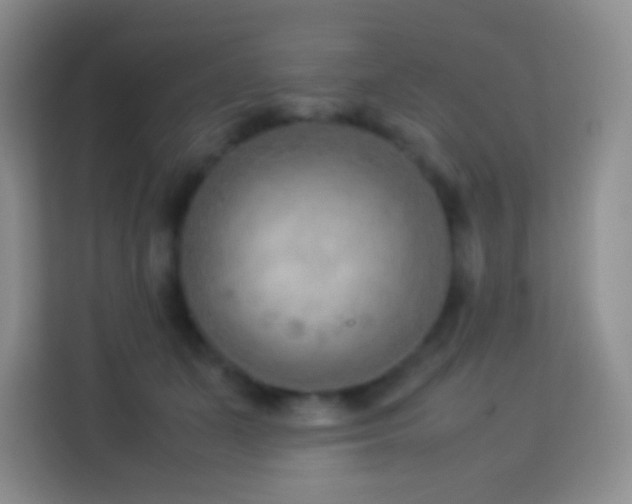 X0000114060511200910051219
