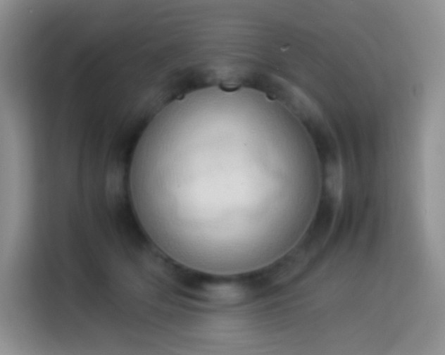 X0000114060514200910051219
